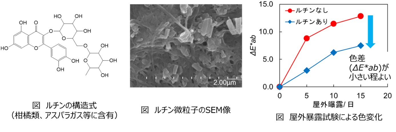 研究紹介の図（塗料）