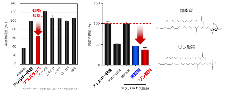 アスパラガス　アレルギー抑制